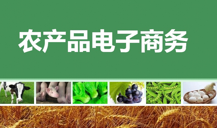 农产品电子商务 传统农业的数字变革