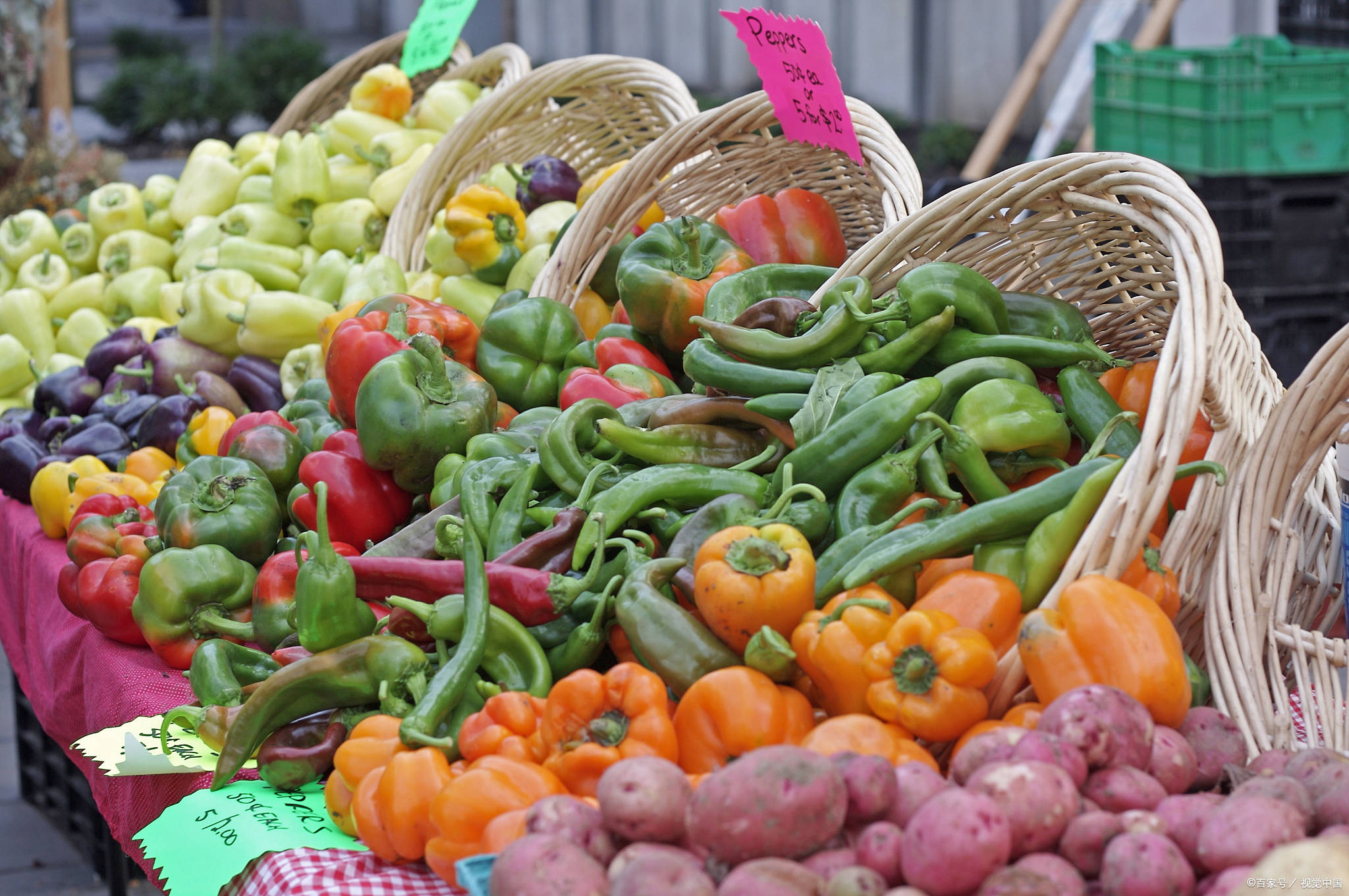 2024全国农博会暨上海农产品交易会 共促农业发展，共享丰收盛宴