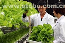 嘉宝食材 海珠区可靠的冷冻蔬菜与农产品供应商