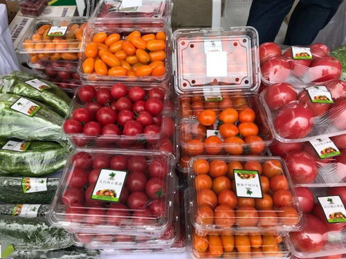 胜利塬上演丰收盛宴 陕西10市2区特色农产品与网红造型交相辉映