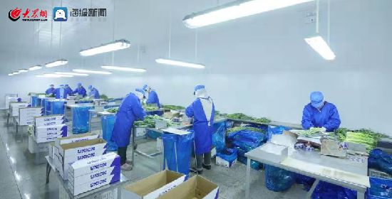 诸味超然十大名优农产品企业风采录丨诸城元康食品 打造特色产业链，促进三产融合发展