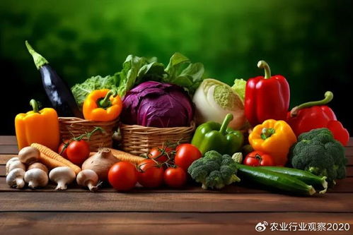 农产品B2B模式 电商领域的未来新蓝海