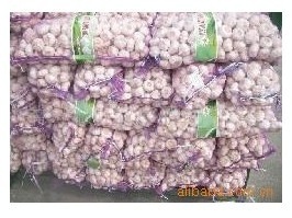 顺旺农产品 优质大蒜供应，品质保证，欢迎订购