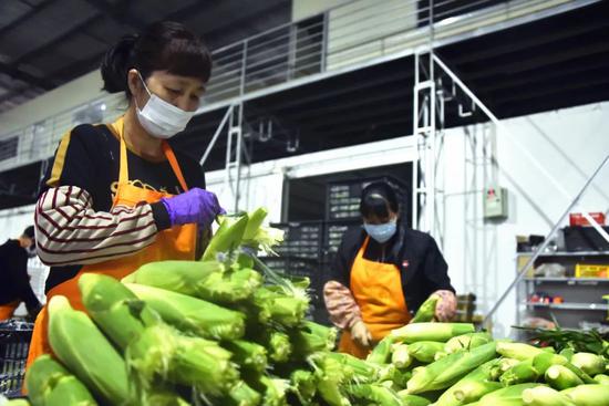 南靖企业打造农产品全供应链 推动农业现代化发展